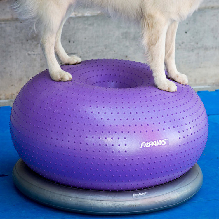 FitPAWS - Donuthalter | Zubehör für Hundetraining