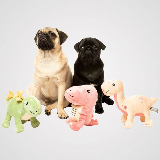 FUZZYARD - DINOSAURIER | lustiges Hundespielzeug