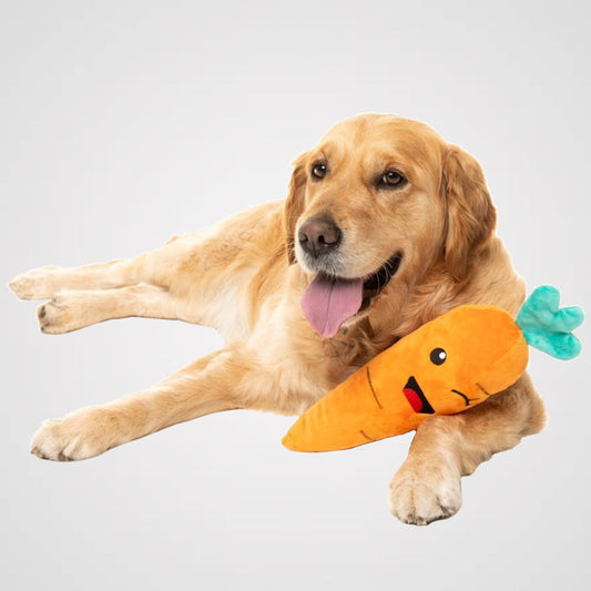 FuzzYard - Verrückte Früchtchen - Karotte - Produktbild