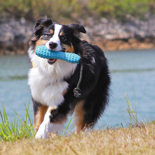 Gourdo orange Galerie 2