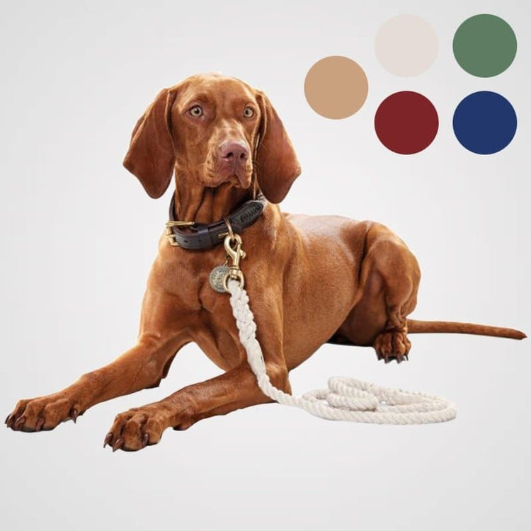 HUNTER Führleine List Produktbild