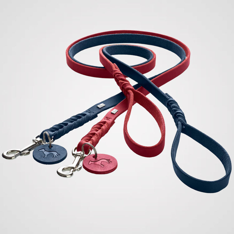 HUNTER Führleine Solid Education Galerie 1