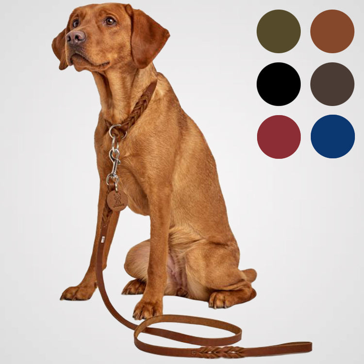 HUNTER Führleine Solid Education Produktbild