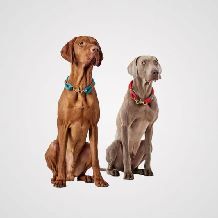 HUNTER HB-Oss-petrol Galerie 1