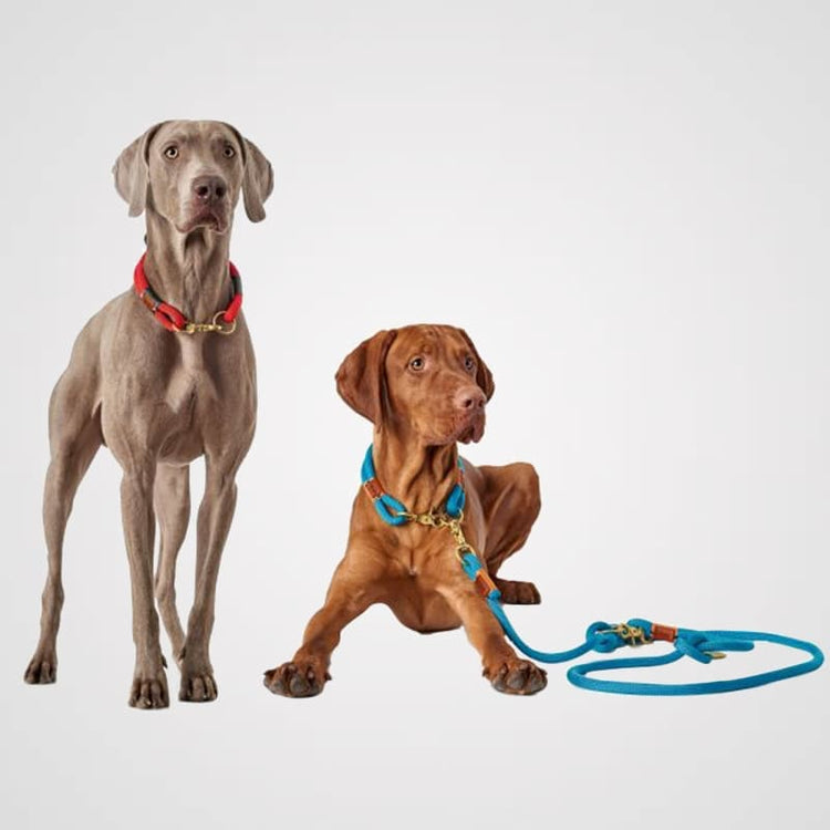 HUNTER HB-Oss-petrol Galerie 2