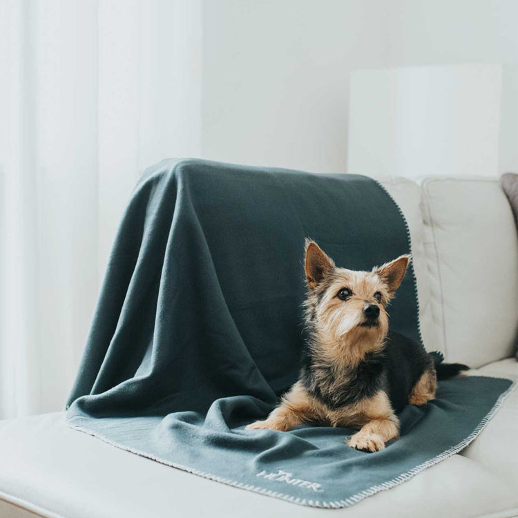 HUNTER Hundedecke Casper - Galerie 3