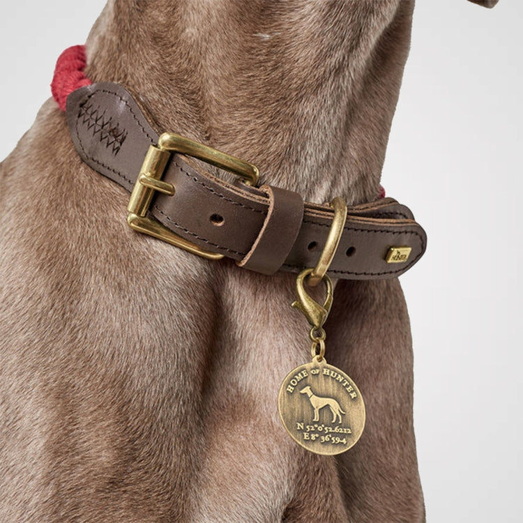 HUNTER-List-Leder-Galerie 1