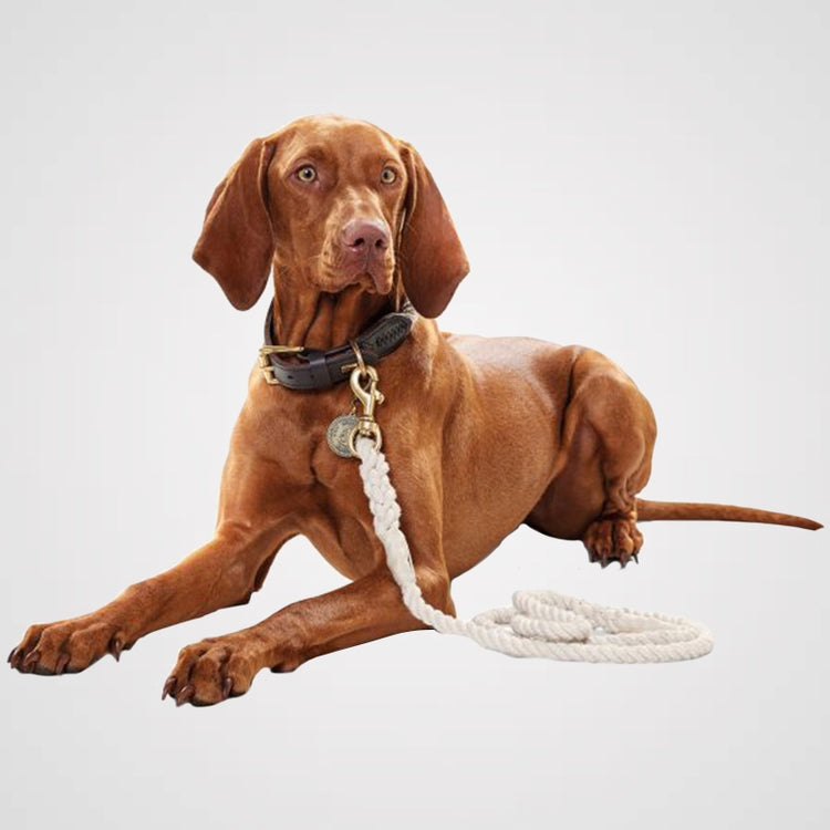 HUNTER-List-Leder-Galerie 3