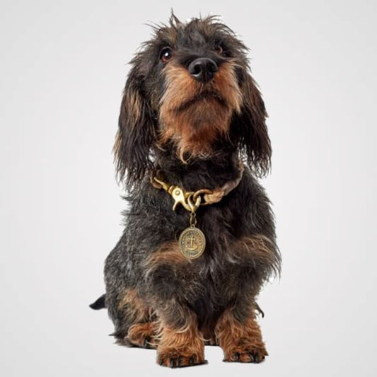 HUNTER-List-Produktfoto