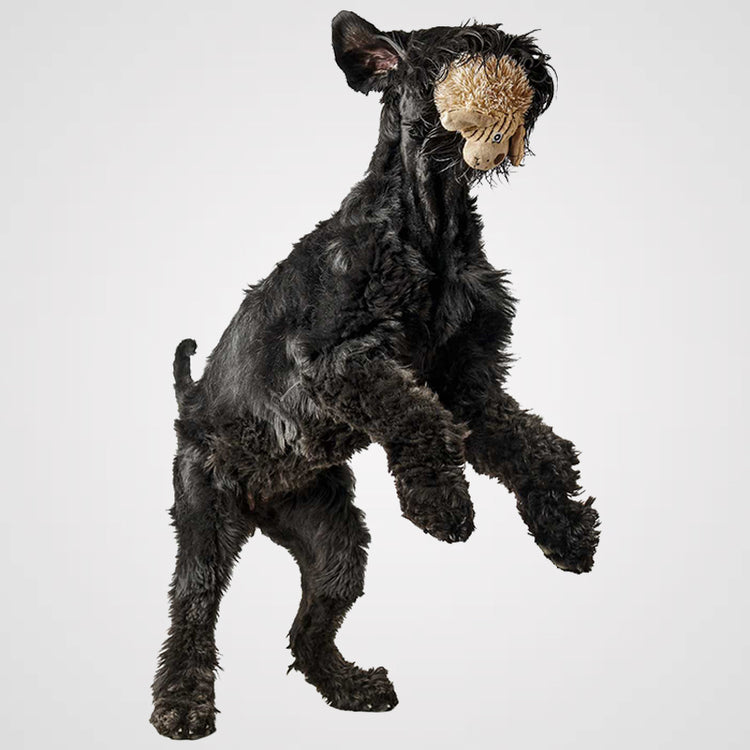 HUNTER - Pori - Galerie 1