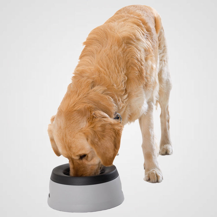 HUNTER Road Refresher Reisenapf - Galerie 3