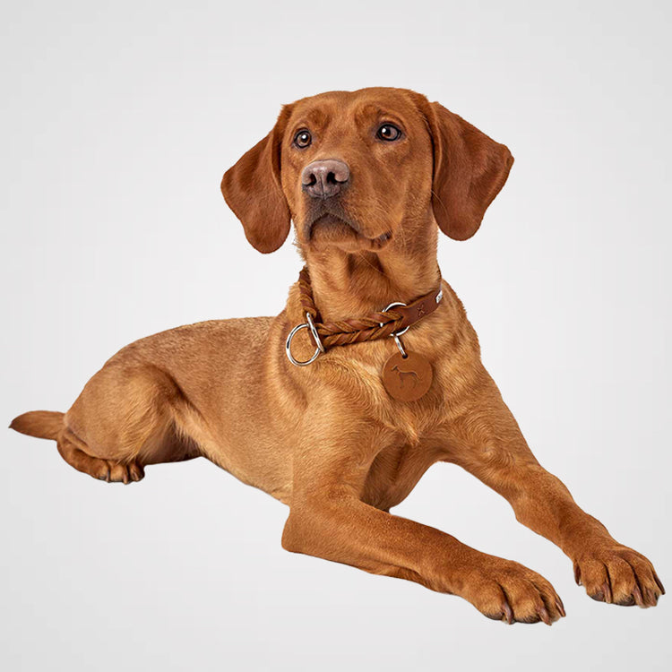 HUNTER - Solid Education - Galerie 1-1