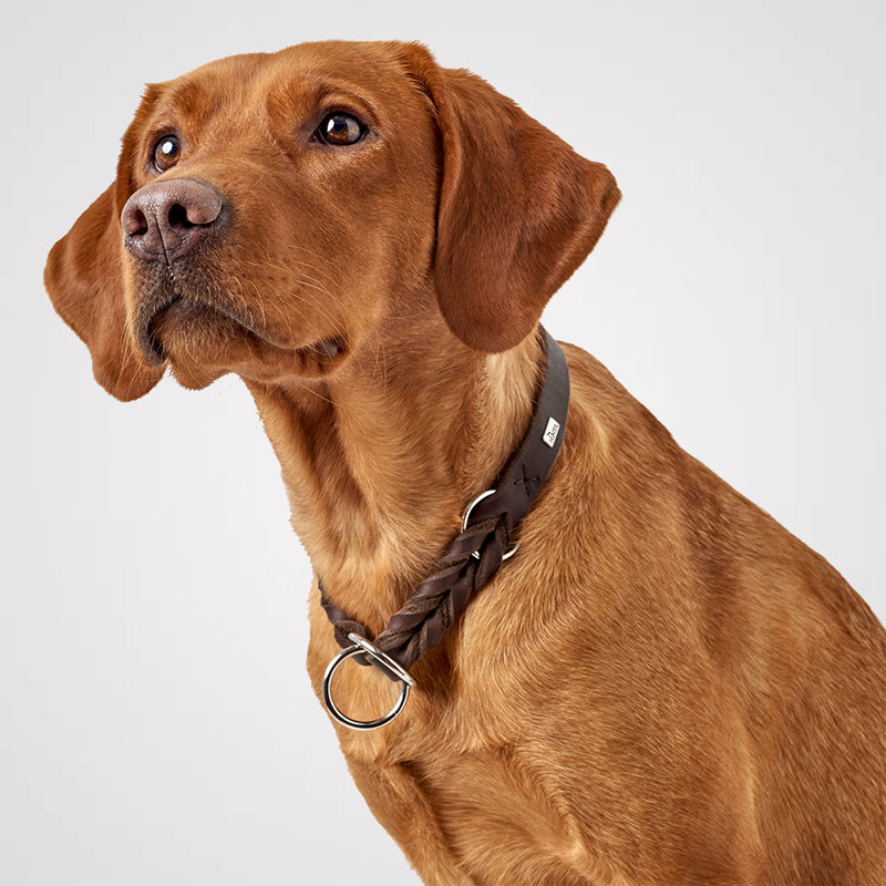 Military-look Hundehalsband mit Polsterung Zugstopp-Halsband