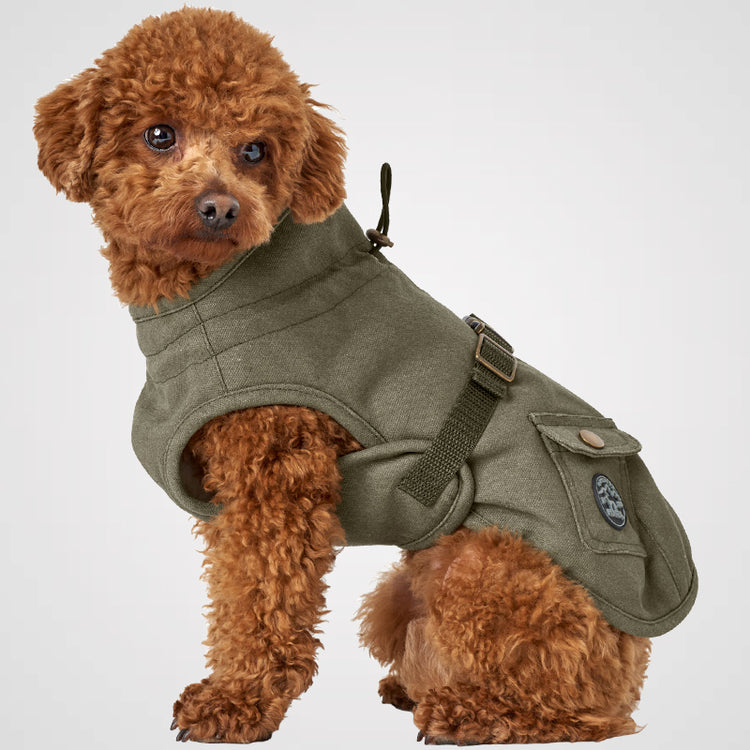 HUNTER - Uppsala Trend | Hundemantel