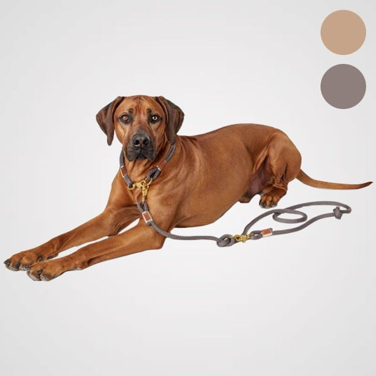 HUNTER Verstellbare Führleine Rantum Produktbild