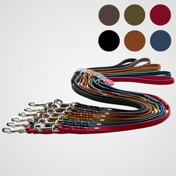 HUNTER Verstellbare Führleine Solid Education Produktbild