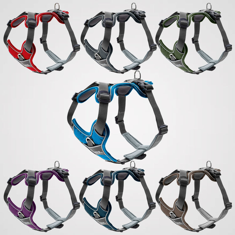 HUNTER - Geschirr Divo | Hundegeschirr