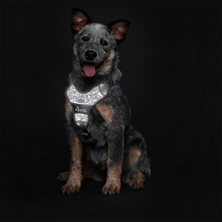 HUNTER Geschirr Divo Reflect