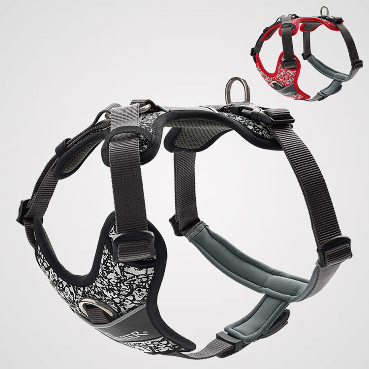 HUNTER Geschirr Divo Reflect