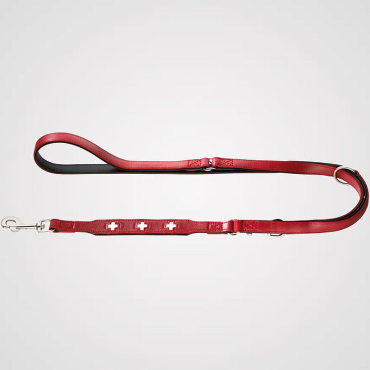 HUNTER - Swiss | Verstellbare Führleine - Hundeleine