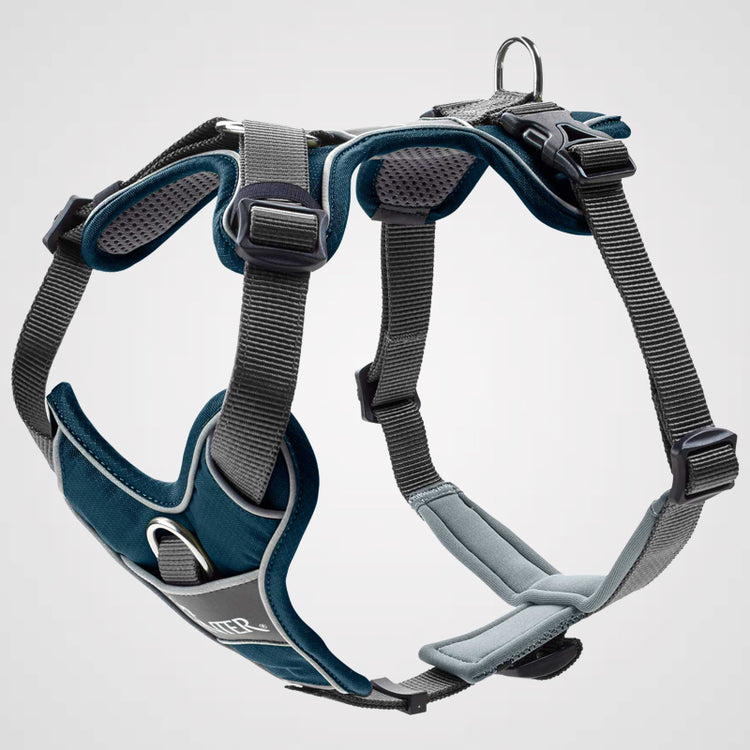 HUNTER - Geschirr Divo | Hundegeschirr