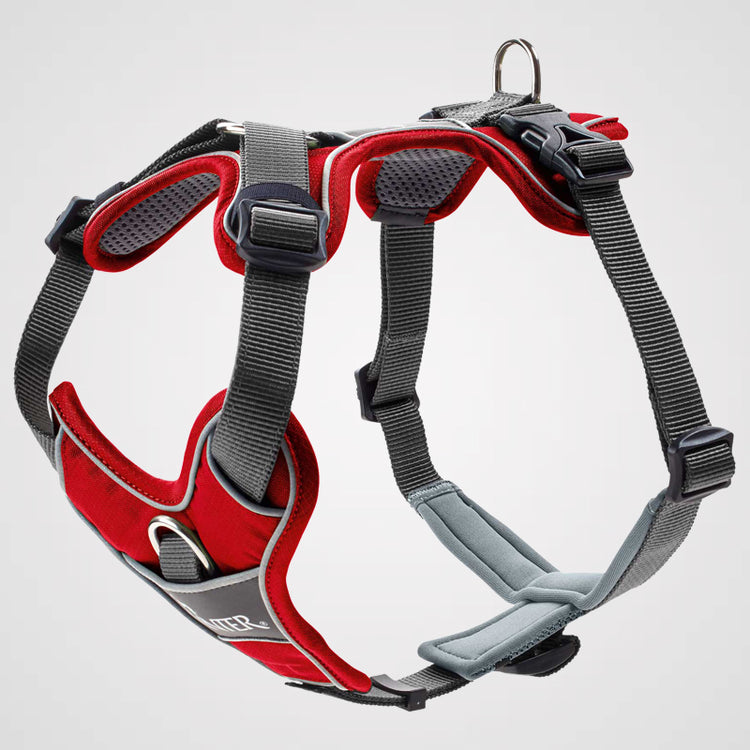 HUNTER - Geschirr Divo | Hundegeschirr