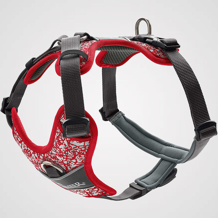 HUNTER Geschirr Divo Reflect