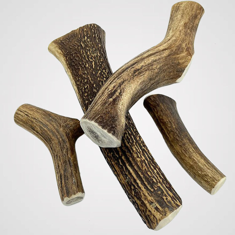 Hirschgeweih | Premium-Kauartikel für Deinen Hund