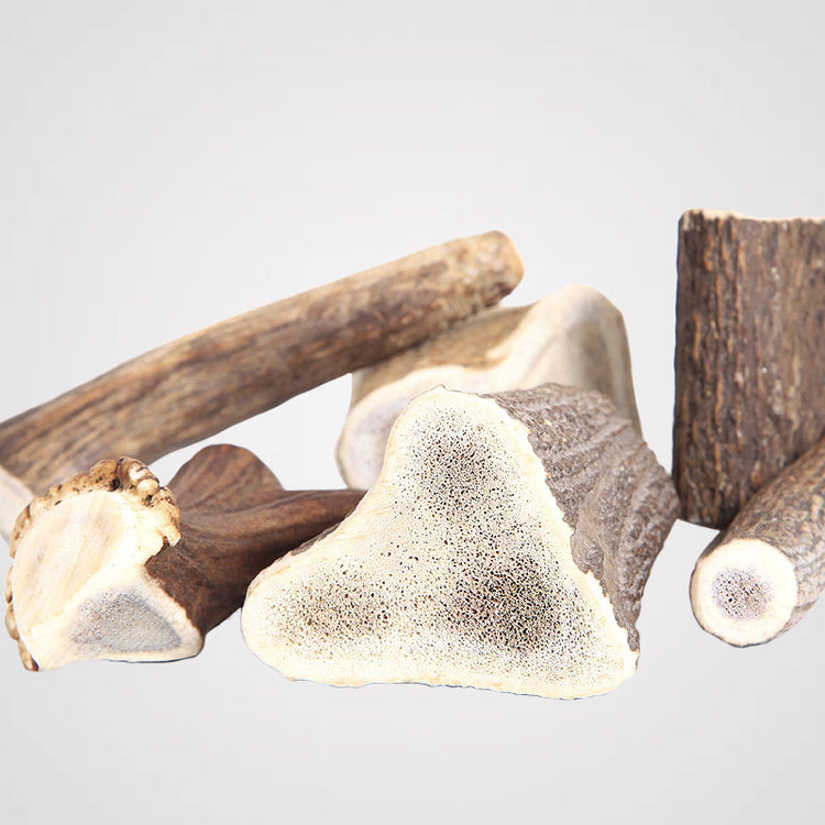 Hirschgeweih | Premium-Kauartikel für Deinen Hund