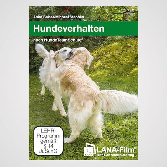 Hundeverhalten