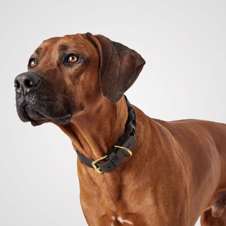 Hunter HB Sansibar Solid Galerie 1