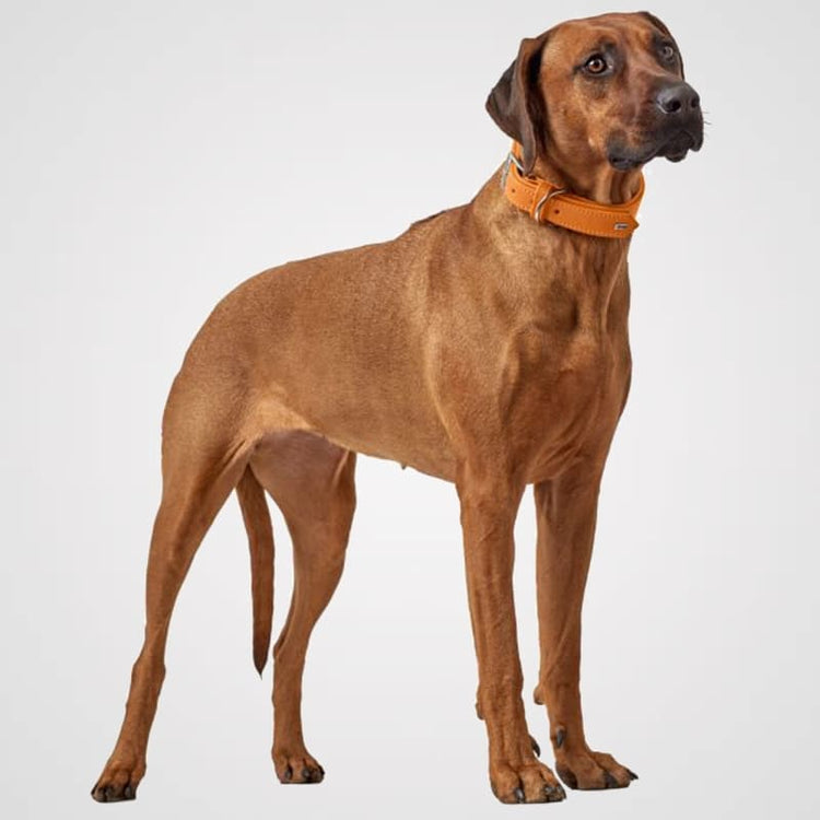 Hunter HB Wallgau Galerie 1