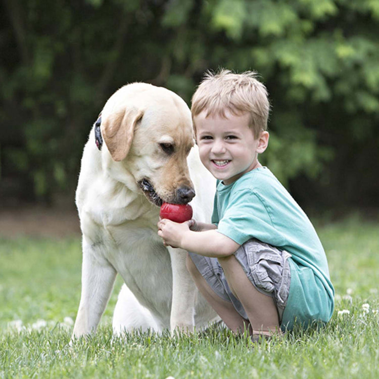 KONG Classic Galerie 4