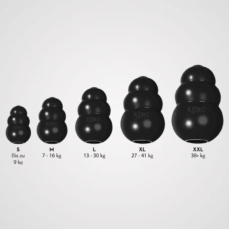 KONG Extreme Galerie 1