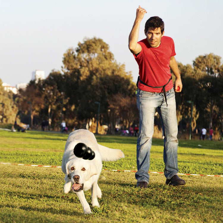 KONG Extreme Galerie 4