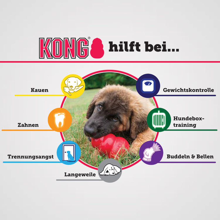 KONG Extreme Galerie