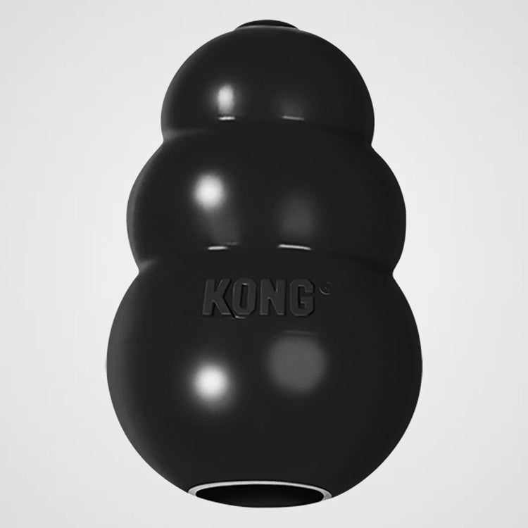 KONG Extreme Produktbild