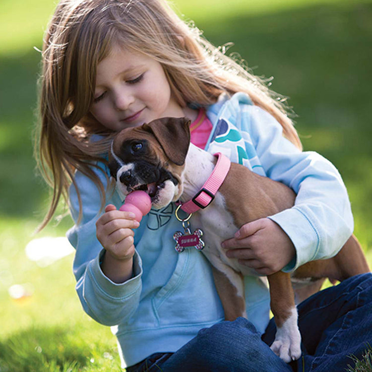 KONG Puppy Galerie 4