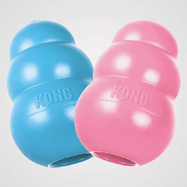 KONG Puppy Produktbild