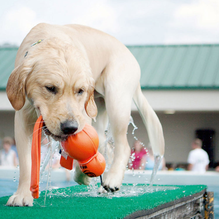 KONG Wet Wubba - Galerie 2