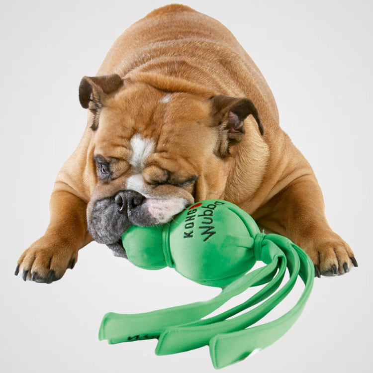 KONG Wet Wubba - Produktbild