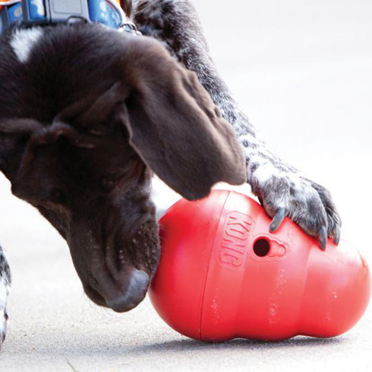 KONG Wobbler - Produktbild