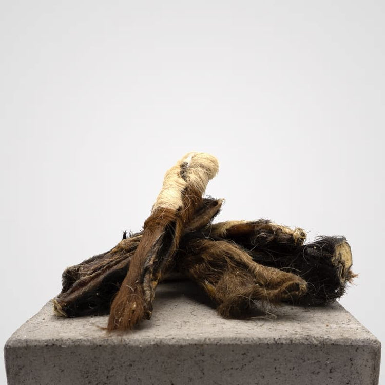 Kopfarbeit Rind mit Fell