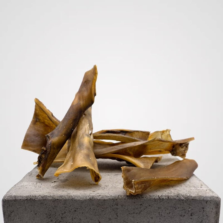 Kopfarbeit vom Kamel