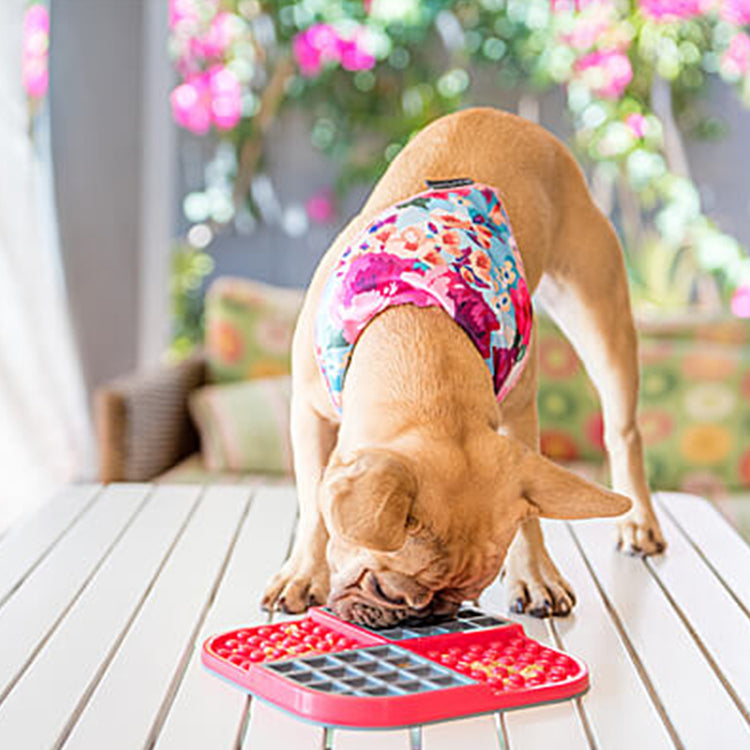 LickiMat SLOMO - Galerie 1