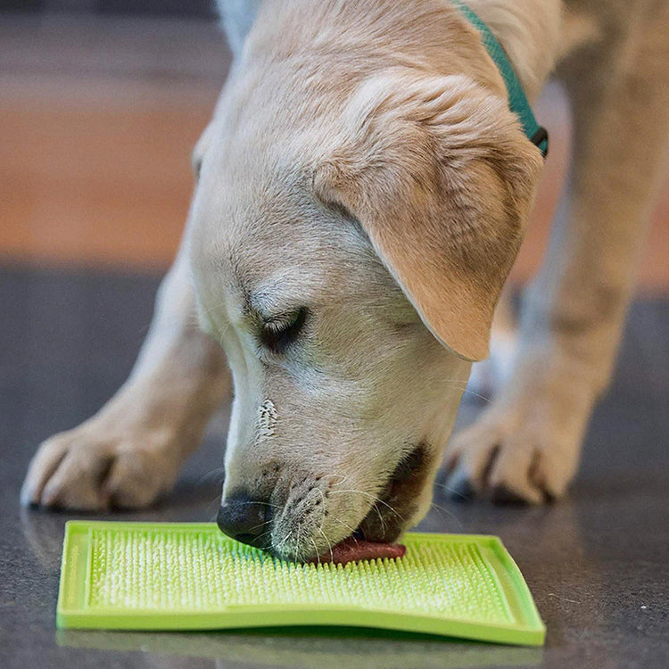 LickiMat SOOTHER TUFF - Galerie 3