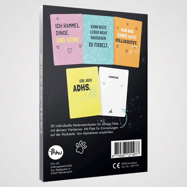 PIHU - Ehrliche Meilensteine - Galerie 1