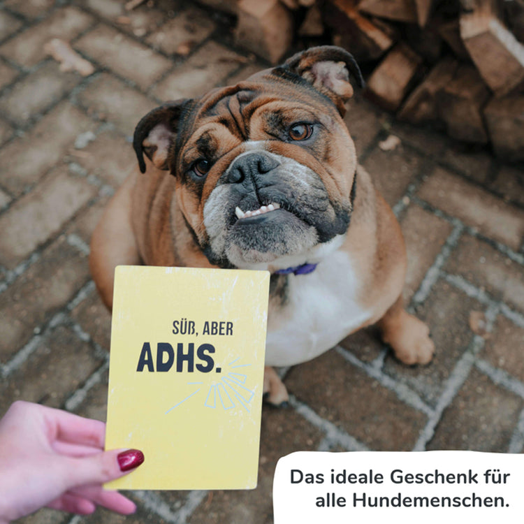 PIHU - Ehrliche Meilensteine - Galerie 3