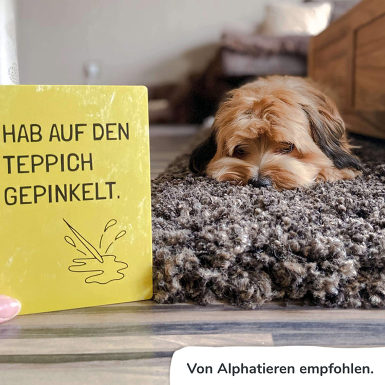 PIHU - Ehrliche Meilensteine - Galerie 4