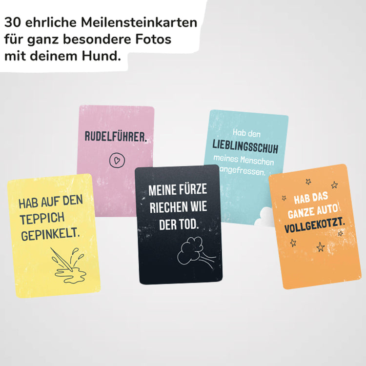 PIHU - Ehrliche Meilensteine - Galerie 5